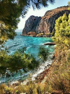 the water is crystal blue and there are trees on the shore