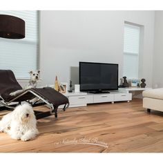 a white dog sitting on top of a recliner chair in front of a tv