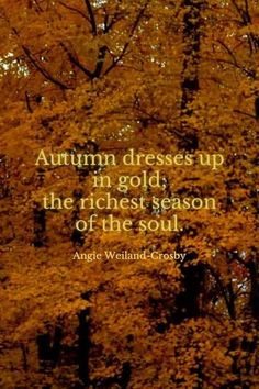 an autumn tree with the words autumn dresses up in gold, the richest season of the soul