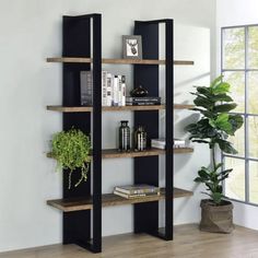 an empty room with some bookshelves and a potted plant