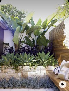 a wooden bench sitting in the middle of a garden next to a wall with plants on it