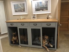 two dogs are sitting in their kennels on the floor next to each other