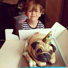 a young boy sitting in front of a birthday cake with a pug dog wearing a party hat