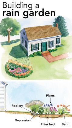 Rain Garden Water Wise Landscaping, Landscaping Garden, Fine Gardening, Water Wise, Garden Yard Ideas, Garden Designs