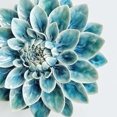 a large blue flower on a white background