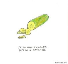 a drawing of a cucumber with the caption if you were a vegetable, you'd be a cucumber