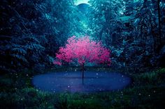 a pink tree in the middle of a forest with stars and lights on it's branches