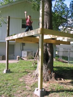 Single Tree Treehouse, Diy Tree House Ideas, Tree Playhouse, Diy Tree House, Pallet Tree Houses, Tree House Ideas, Cracked Corn, Treehouse Ideas