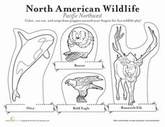 the north american wildlife worksheet is shown with animals and other things in it