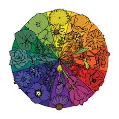 the color wheel is filled with different flowers