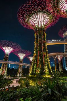 Singapore, the dynamic “Lion City,” is a dazzling gem in Southeast Asia that seamlessly blends modern innovation with rich cultural heritage Southeast Asia Aesthetic, Singapore Aesthetic, Vision Boarding, Universal Studios Singapore, Vision 2025, Singapore Grand Prix, Singapore City, Singapore Travel, Vacation Planner