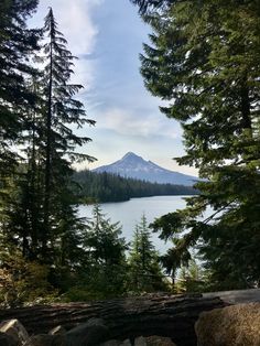 a mountain is seen through the trees near a body of water