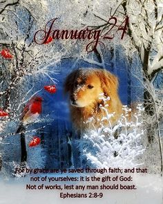 a dog is looking at a bird in the snow with a christmas message below it