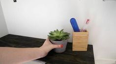 a person's hand is holding a cup with succulents in it