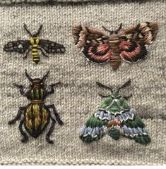 four different types of bugs and moths on a sweater