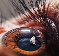 an extreme close up shot of the iris of a cat's eye with a tiny sailboat on it