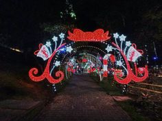 an archway decorated with christmas lights at night