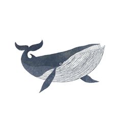 a drawing of a whale on a white background