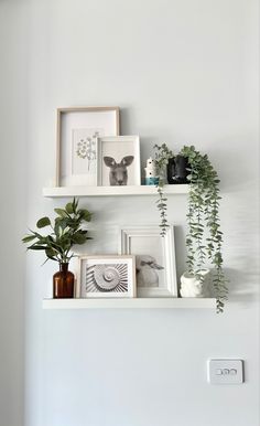 three white shelves with plants and pictures on them