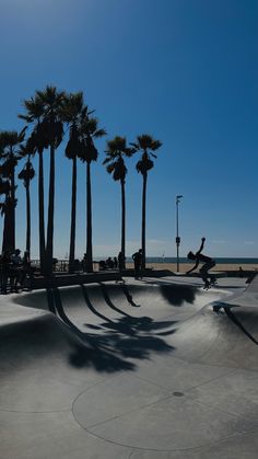 a skateboarder is doing tricks at a skate park with palm trees in the background