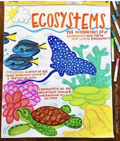 an image of a coloring book with animals and plants on the front cover that says, ecosytems