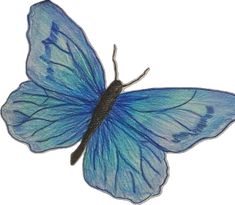 a drawing of a blue butterfly on a white background