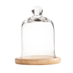 a glass bell jar with wooden base on a white background for display or product packaging