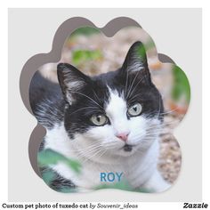 a black and white cat sitting in front of a flower shaped frame with the word boy on it