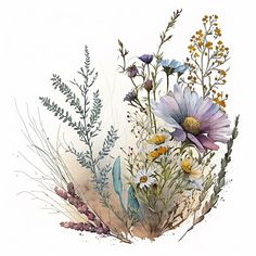 watercolor painting of wildflowers and grasses