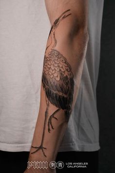 a man with a bird tattoo on his arm