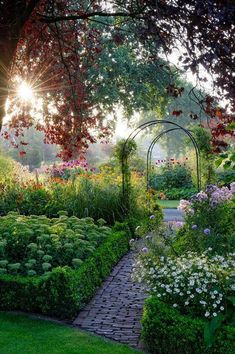 the garden is full of flowers and trees