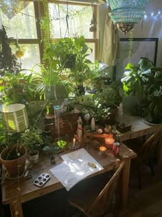 a wooden table topped with lots of plants next to a window filled with light bulbs