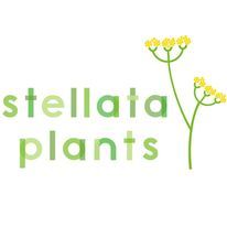 the logo for stella plants with yellow flowers