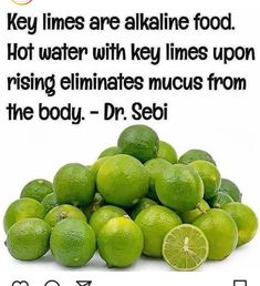 Key Limes, Dr Sebi, Sea Moss, Spring Water