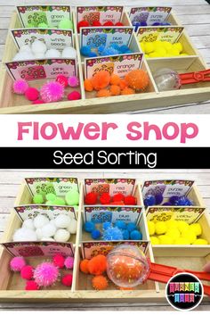 the flower shop seed sorting tray is filled with pom poms