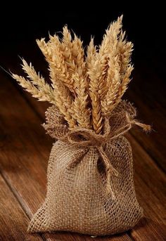 a burlock bag filled with dried wheat on top of a wooden table next to a plant