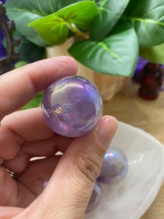 This is for one sphere. These gorgeous Aura Amethyst spheres are 30-33mm in diameter and have an amazing bright purple color that shimmers with rainbow inclusions. These are great spheres for meditation and/or display. You will receive a sphere like the one in the photograph. You may not receive the exact sphere in the photograph. All spheres will include a free sphere stand! Amethyst is believed to be a healing stone. It is often thought of as a stone of purification and spiritual protection. A Purple Round Crystals For Gift, Round Purple Crystals For Gifts, Round Purple Crystals For Gift, Aura Amethyst, Clear Quartz Point, Spiritual Protection, Crystal Geode, Bright Purple, Ocean Jasper