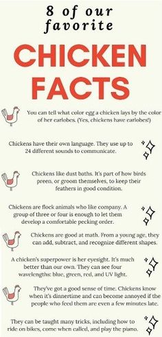 the chicken fact poster is shown in red and white