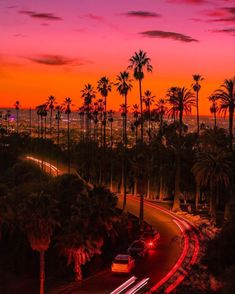 the sun is setting over palm trees and street lights in front of an orange sky