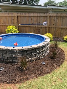 a man is playing in the backyard with his swimming pool