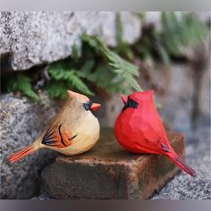 two red and yellow birds sitting on top of a rock