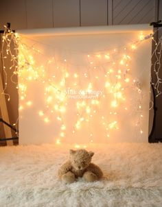 a teddy bear is sitting in front of a white backdrop with fairy lights on it