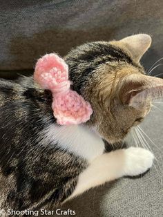 a cat with a pink crocheted bow on its head