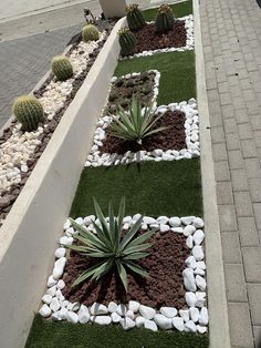 some plants and rocks in the middle of a sidewalk with grass growing between them on both sides