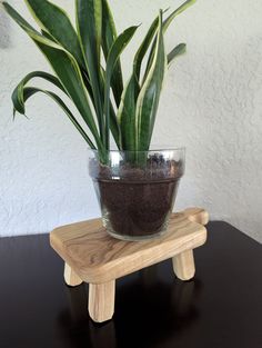 a potted plant sitting on top of a wooden stand