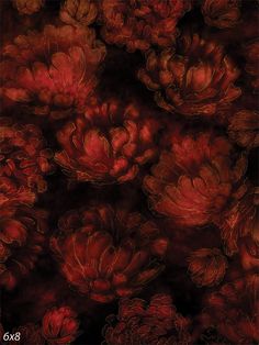 Midnight Red Floral Photography Backdrop - Midnight red floral photography backdrop with deep red flowers against a black background Faded Flowers, Red And Black Background, Artistic Portraits, Midnight Red, Cascading Flowers, Sequin Backdrop, Witchy Wallpaper, Flowers Red, Printed Backdrops