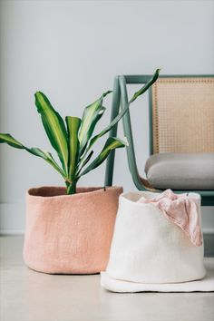 two potted plants sitting next to each other on top of a wooden floor near a chair