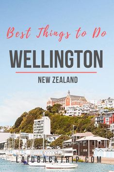 boats in the water with text overlay saying best things to do wellington new zealand