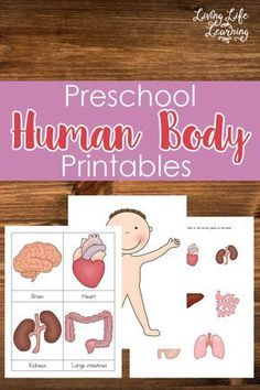 the preschool human body printables are displayed on top of a wooden table with text