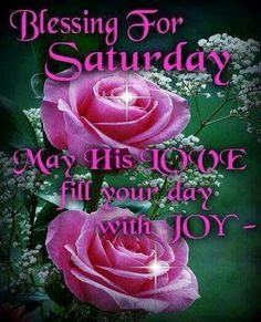 two pink roses with white baby's breath in the center and text saying, blessing for saturday may his love fill your day with joy